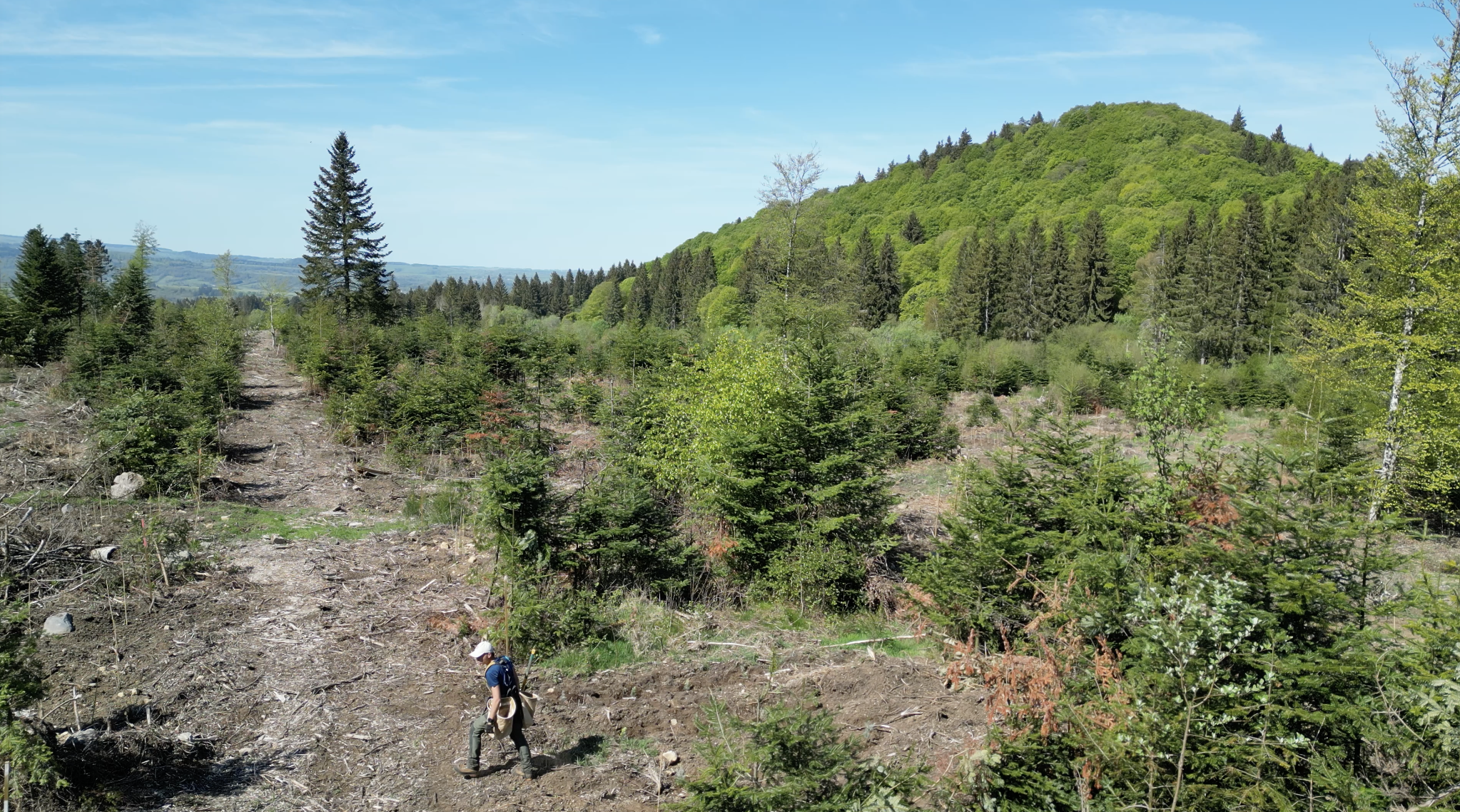 Plantation Col de la Moreno